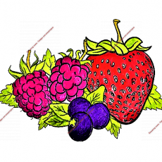 Фруктовые пюре,джемы,топпинги - Кондитер плюс. Товары для кондитеров 