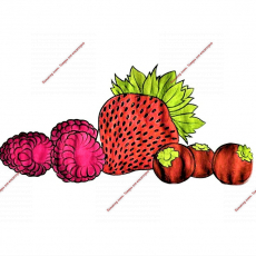 Сублимированные ягоды - Кондитер плюс. Товары для кондитеров 